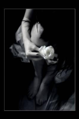 je t aime mon ange